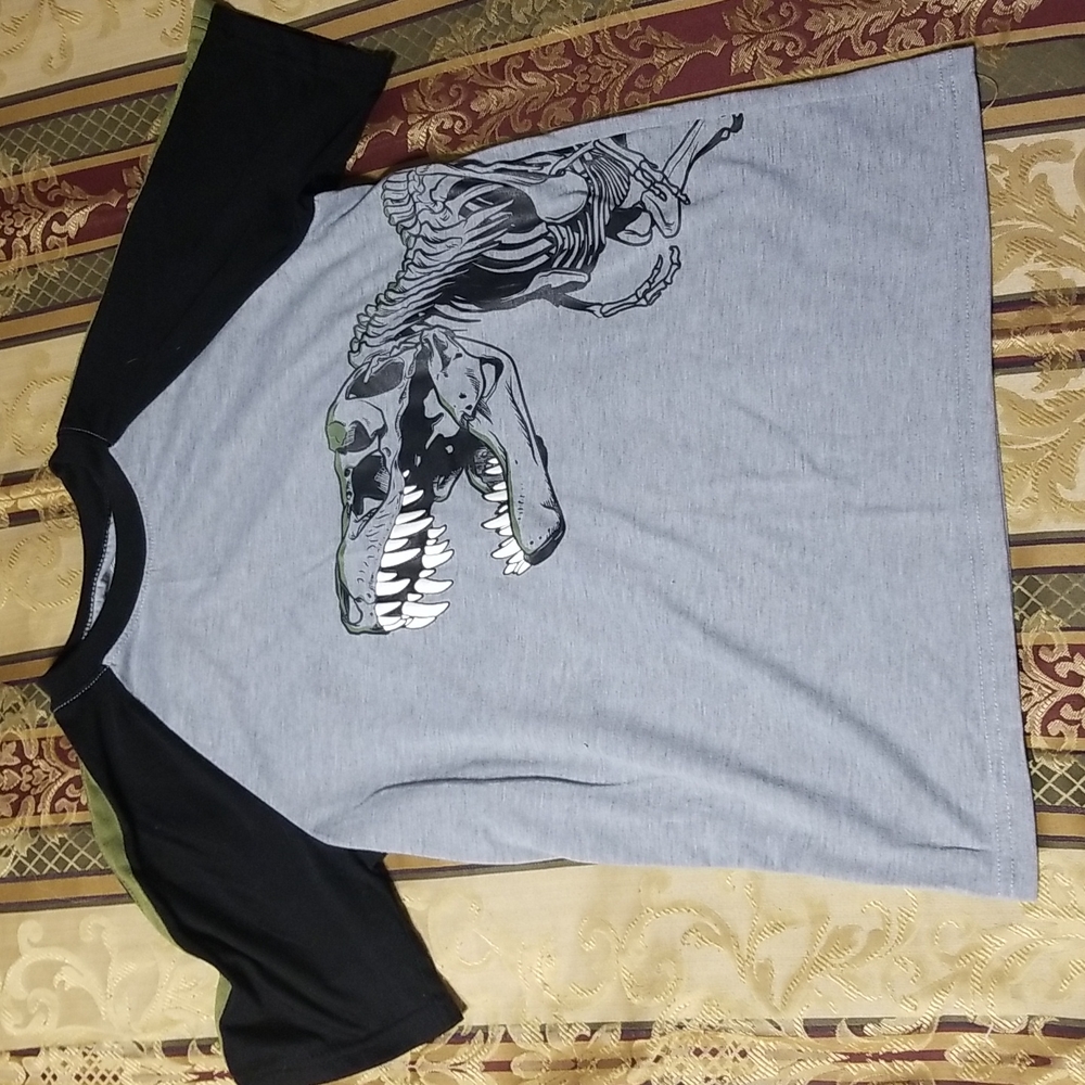 Dinosaur Boys Shirt - XL/XG(14-16)